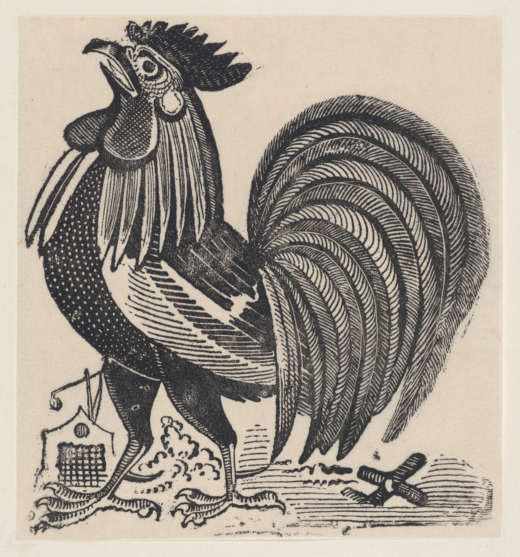 Gravura em preto e branco de um galo de José Guadalupe Posada, representando o despertar natural e o ritmo circadiano humano em contraste com a luz artificial.